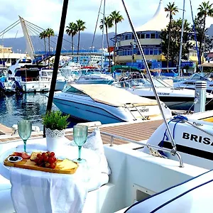 barco-pita-puerto-coln.tenerifehoteles.net/